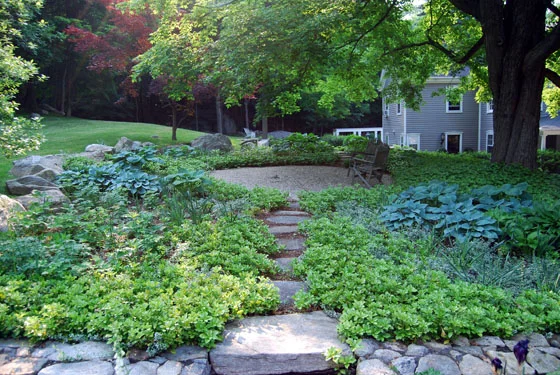 DESIGNER’S GARDEN - Shade Garden