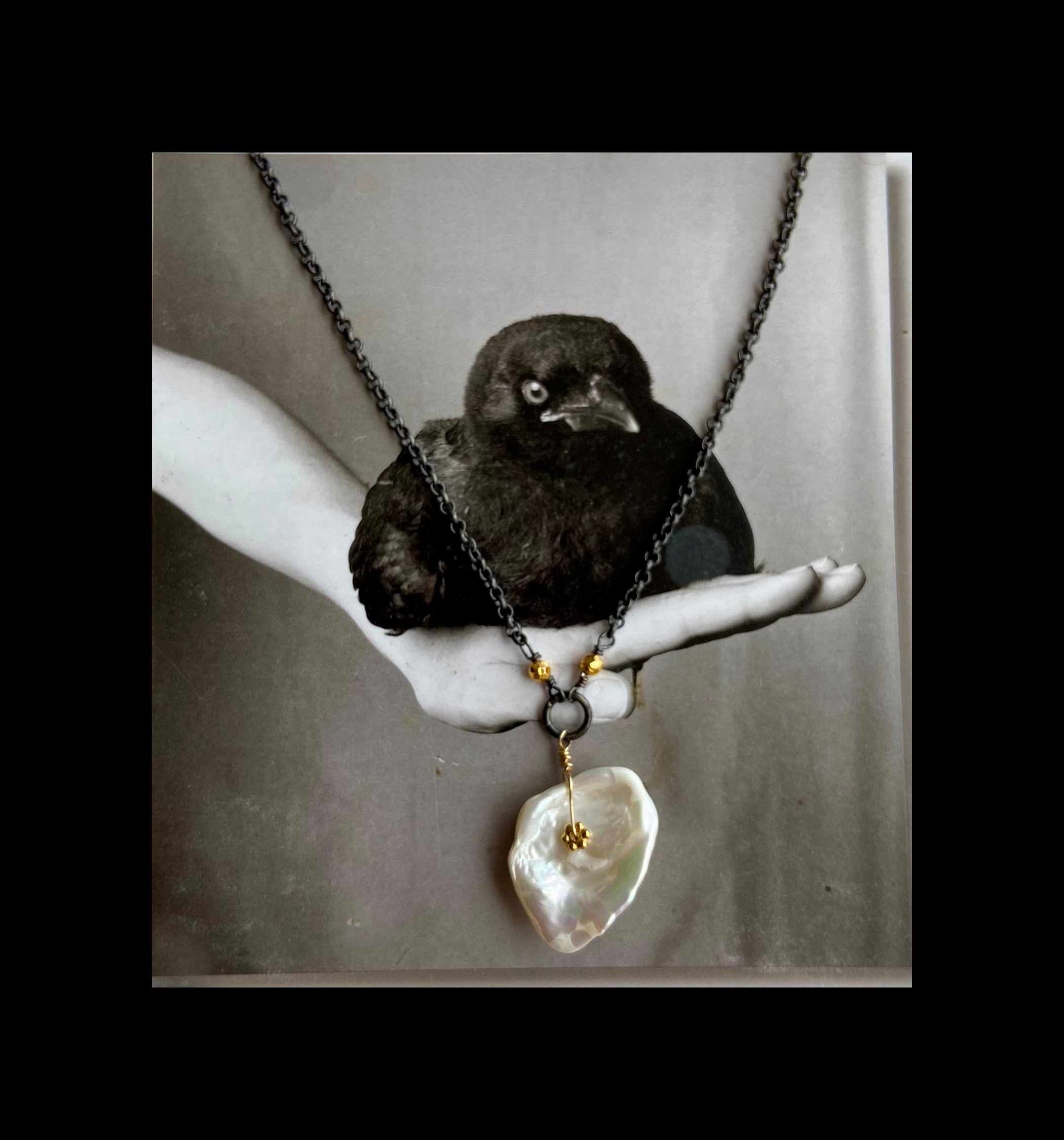 crow.jpg