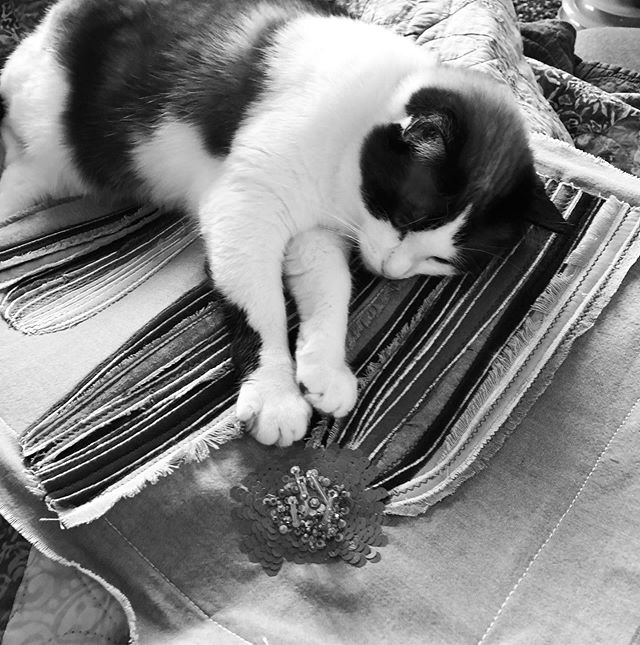 Everyone needs a good studio assistant. Thanks for the moral support Esme. #beading #cats #catstuff #emotionalsupportanimal #madebymadsdesigns