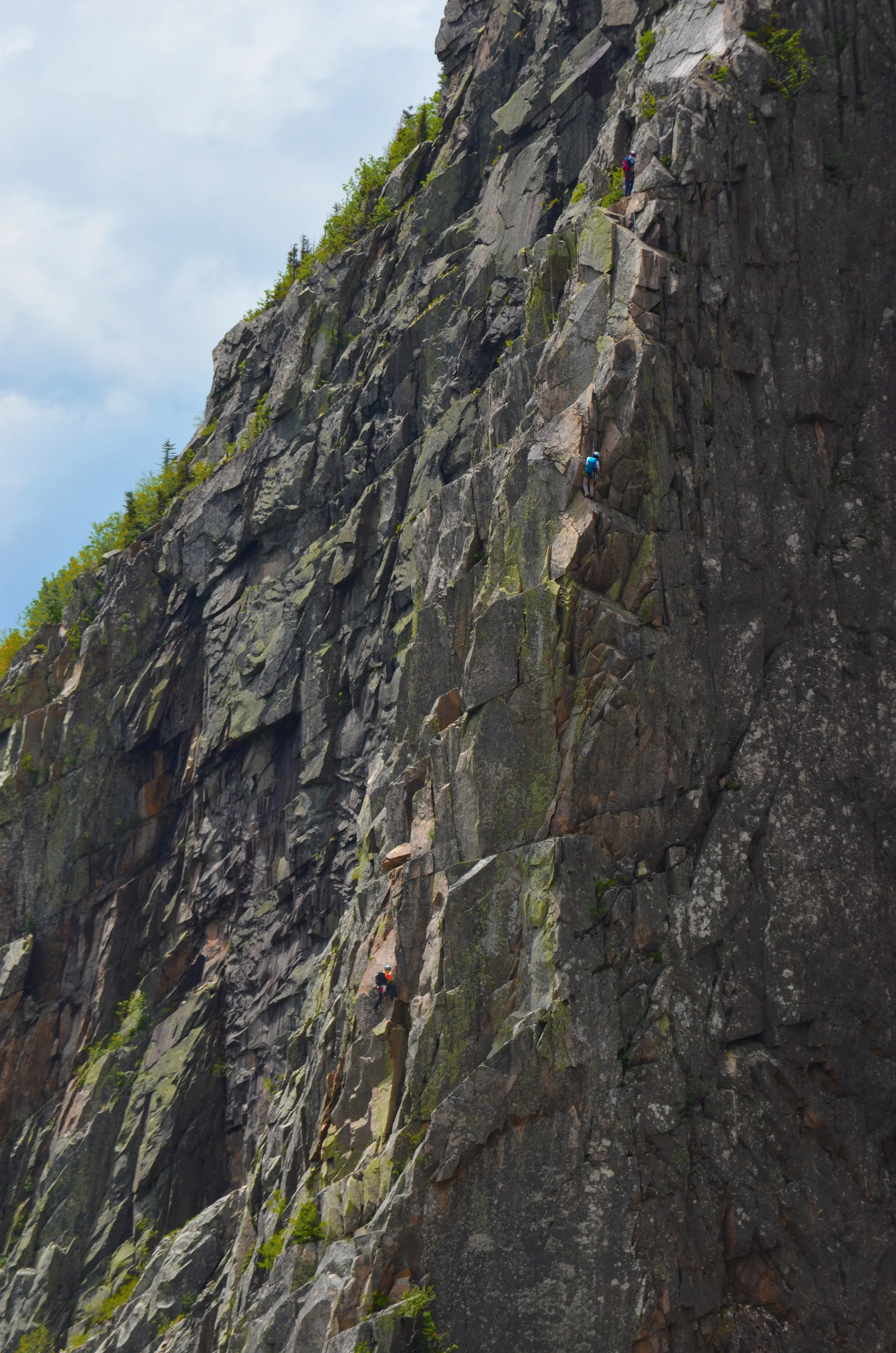 6.2014_Cannon_Whitney-G from Afar.jpg