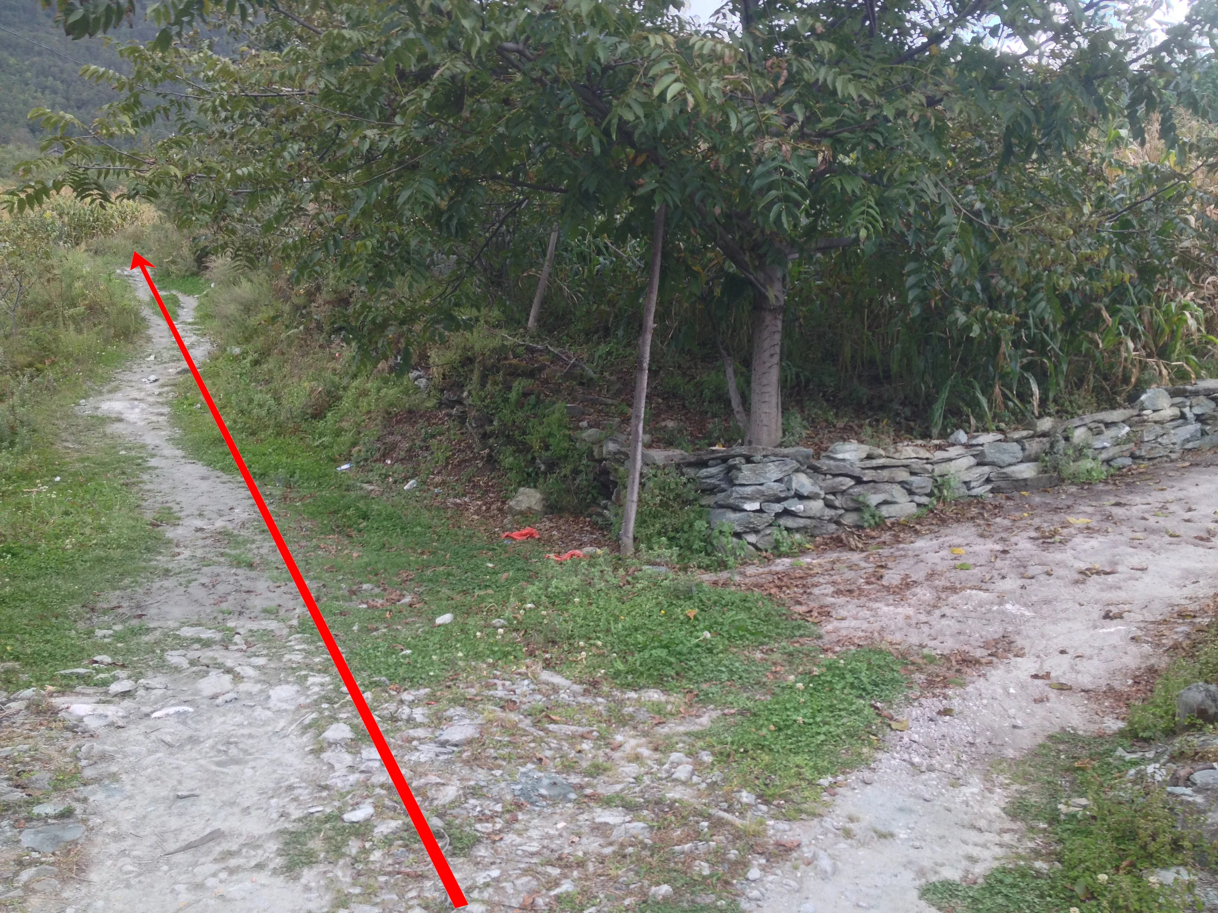 The first junction int he farm fields.