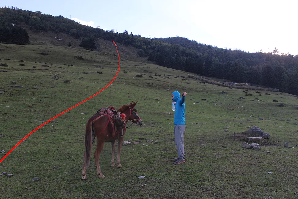 Crossing the first huge meadow.