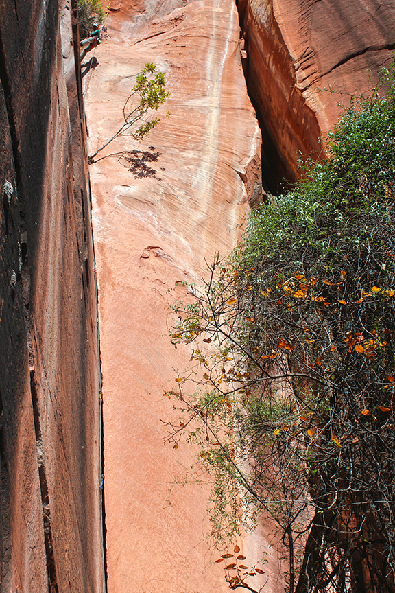 Ryder Stroud at the chains of Wind of the Valley. The spindly rest tree is just below.