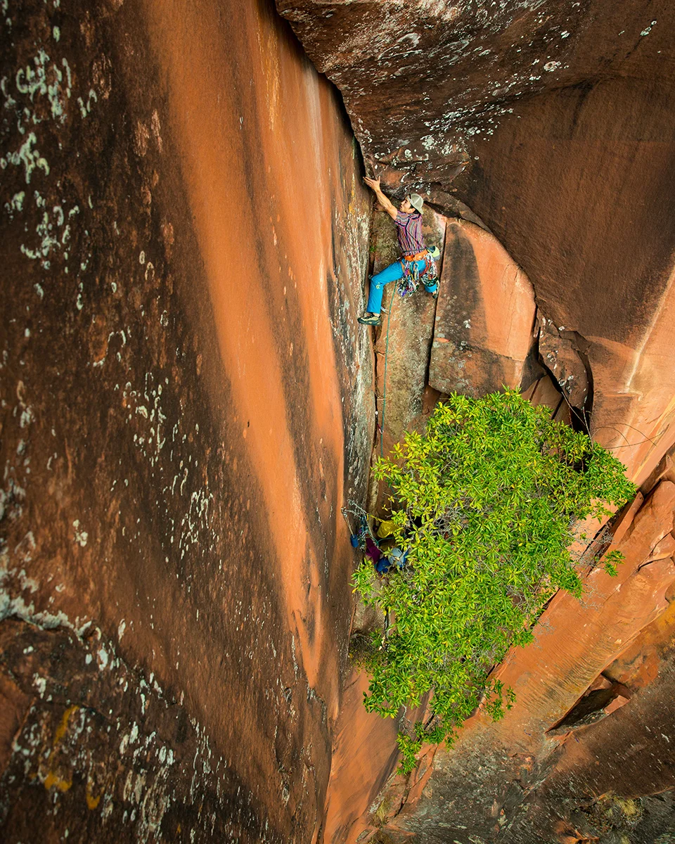 Leaving the only rest stance before the powerful, long crux section of P3 of Elephant Ryders.© Irene Yee/Lady Lockoff Photography