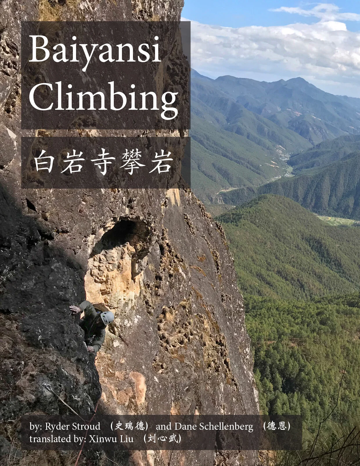 Click the picture to link to the article. You can also get access to the new guidebook here.