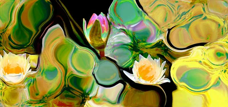 abstract-lotus-af.jpg