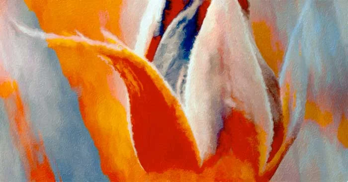 Painted-tulip-af.jpg