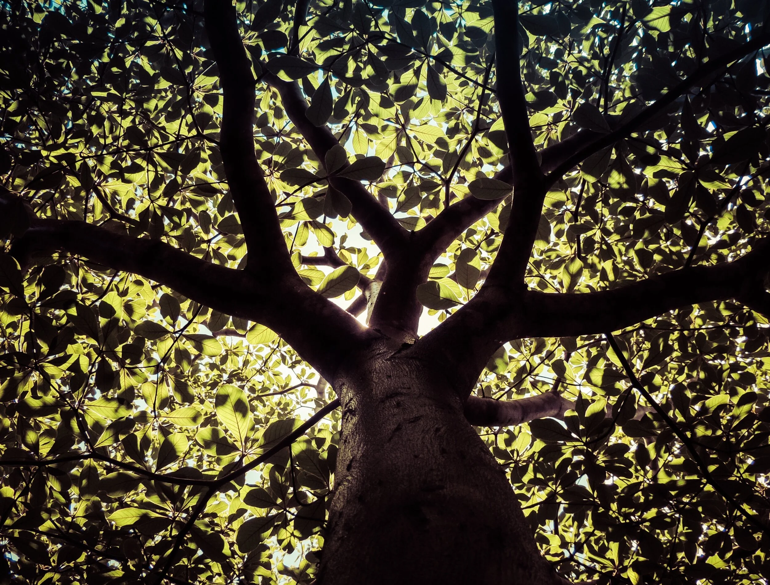 lucas-lenzi-593461-unsplash.jpeg