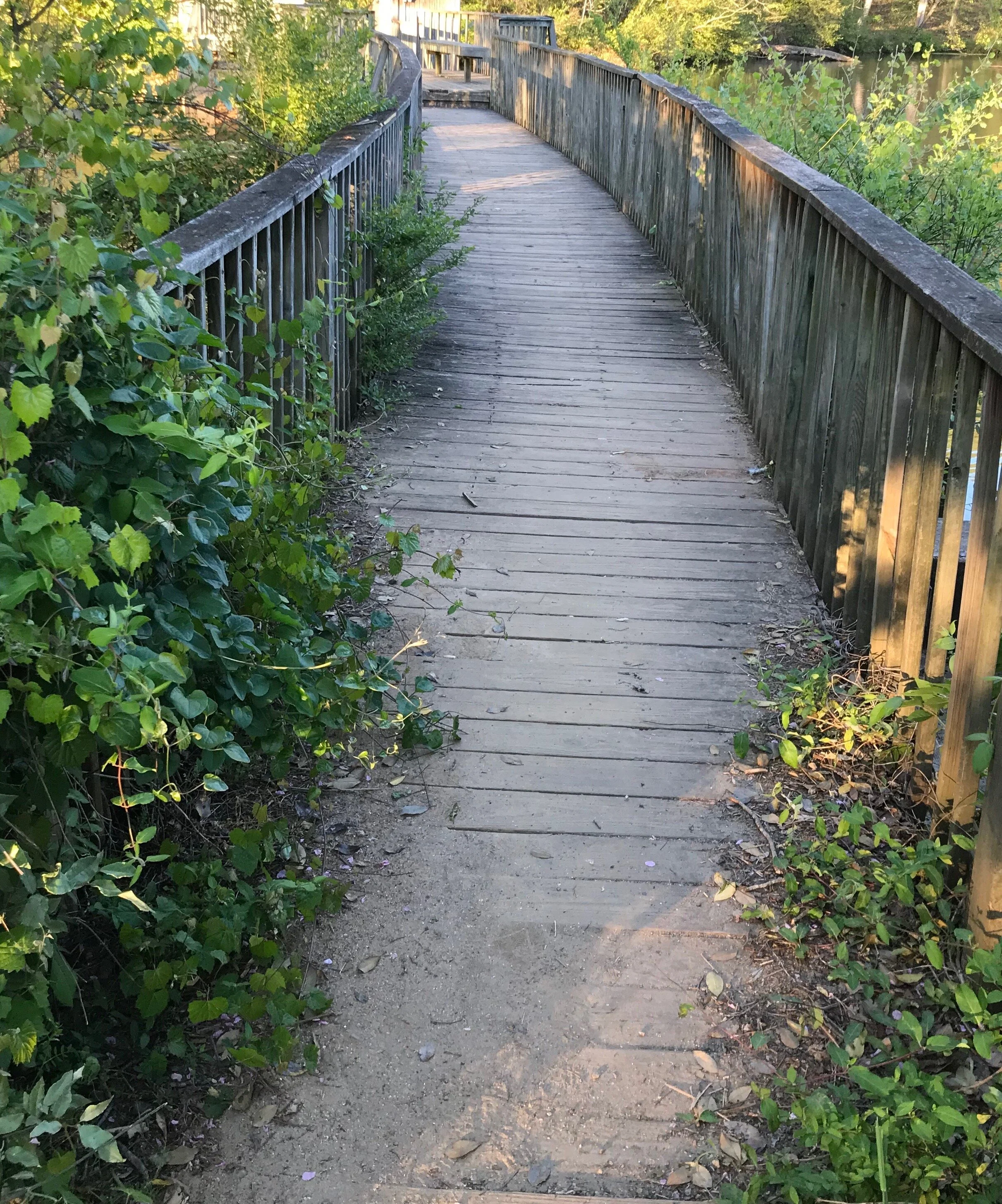Bridge.jpeg