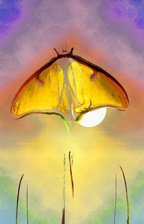 Living and Rising in the Present Moment Part 1 | Recordings