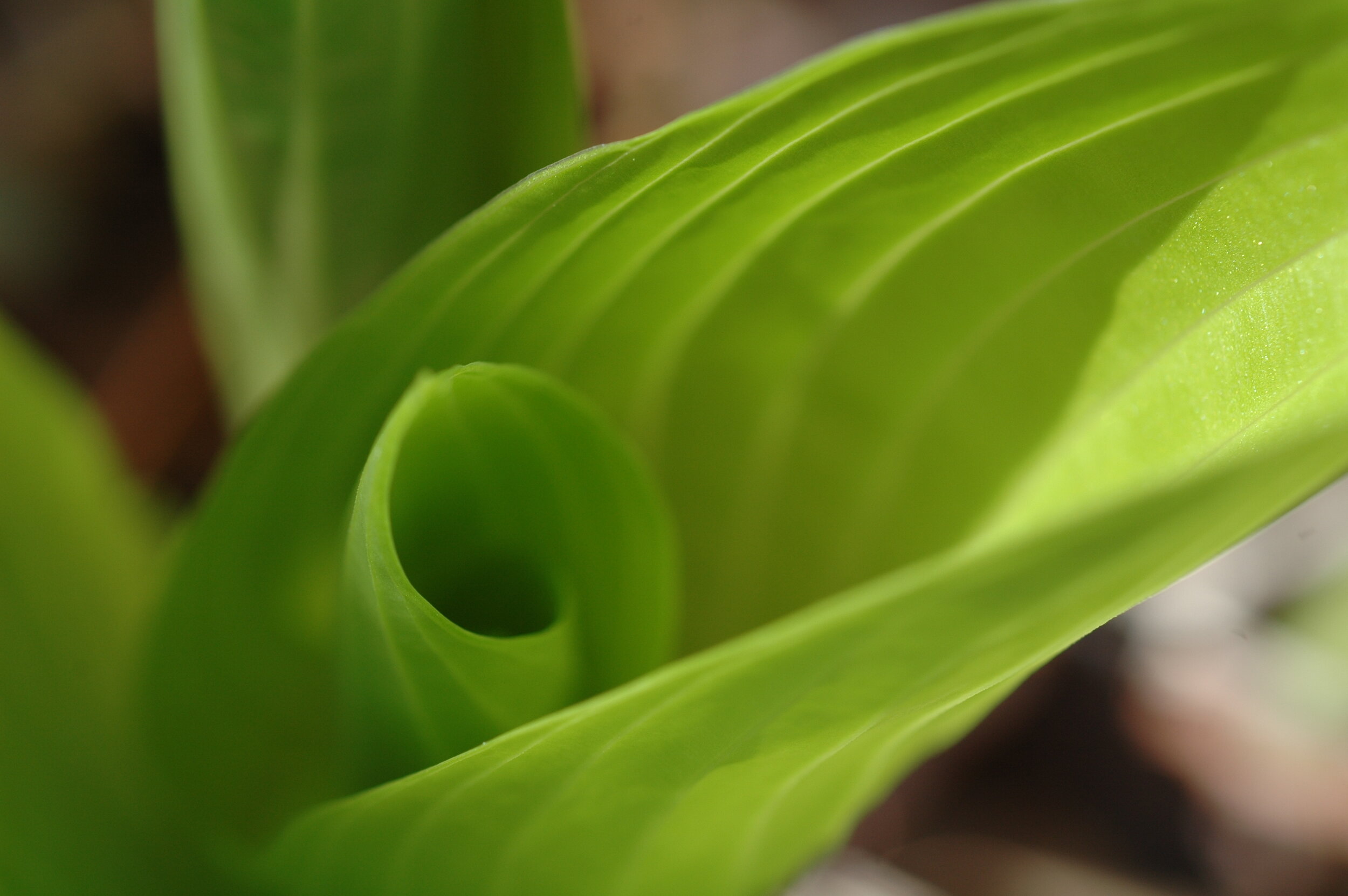 Inner Degrees: Full Chart