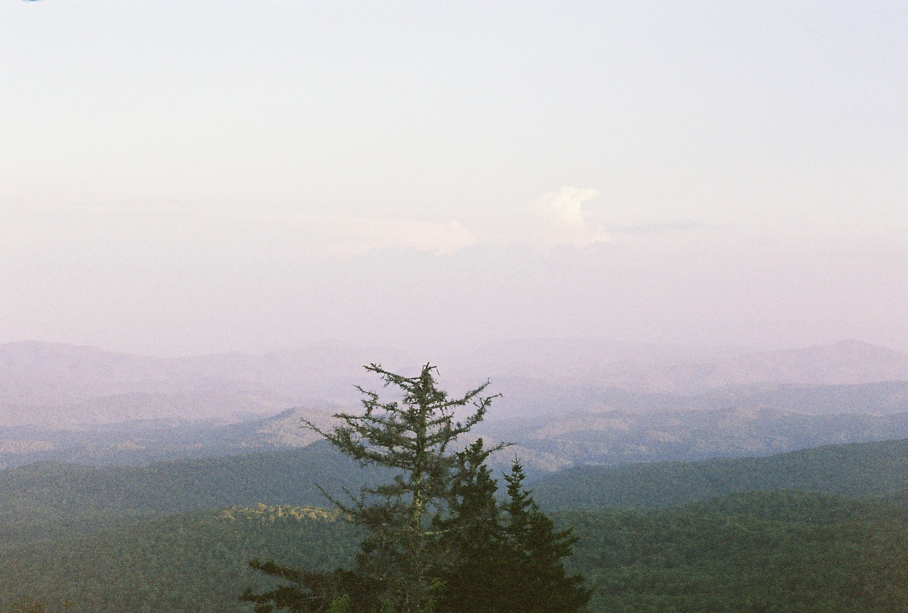 R1-05070-005A.jpg