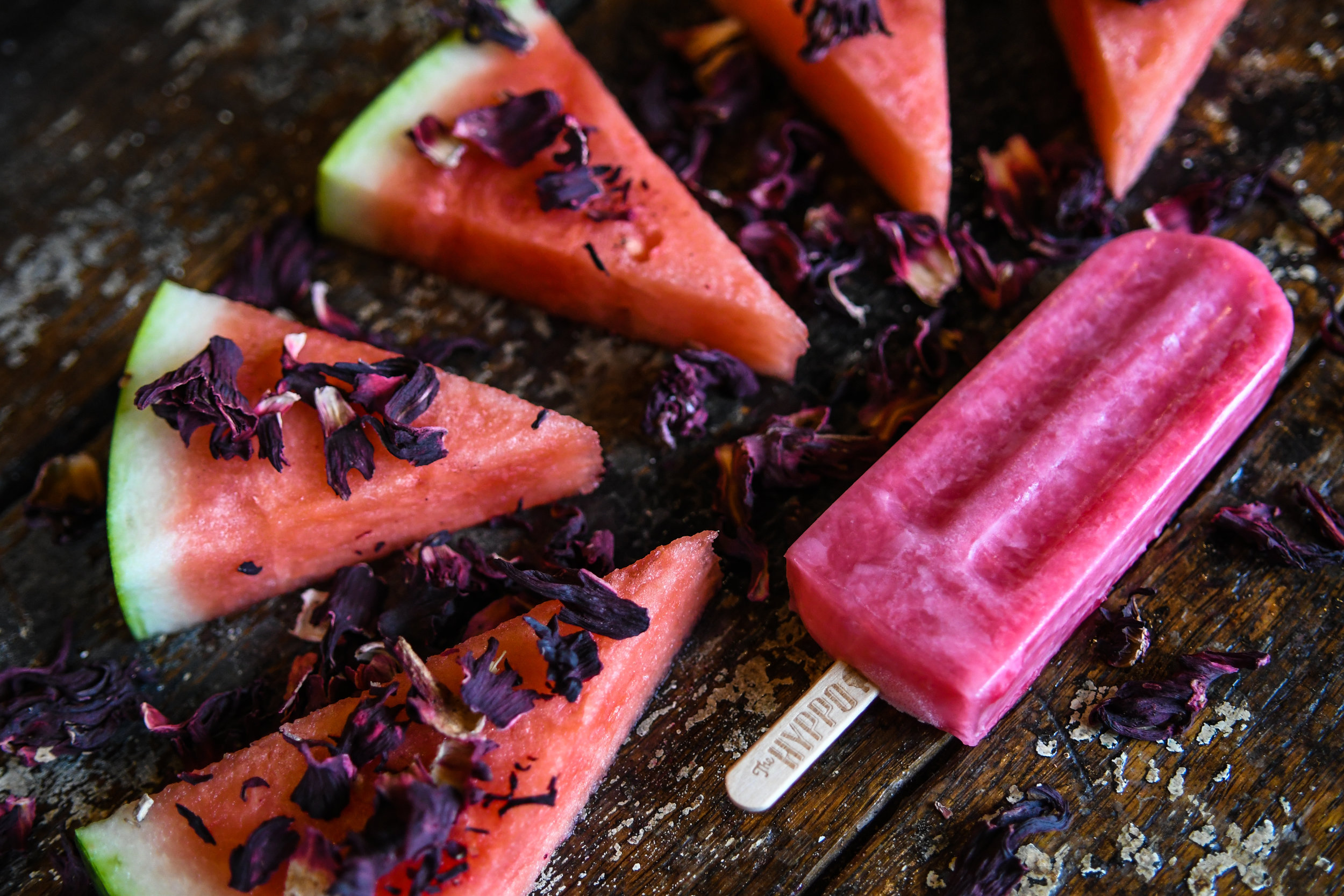 POP Culture — The Hyppo Gourmet Ice Pops