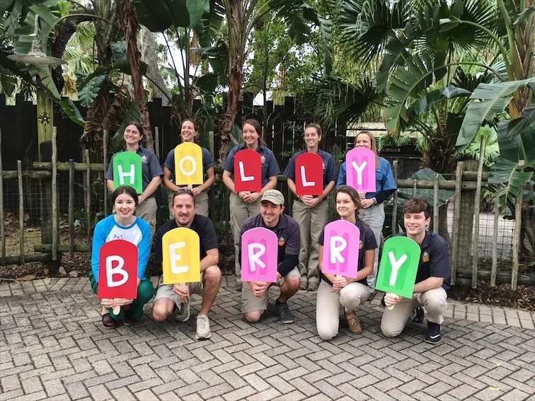 New Year, New Hippo!