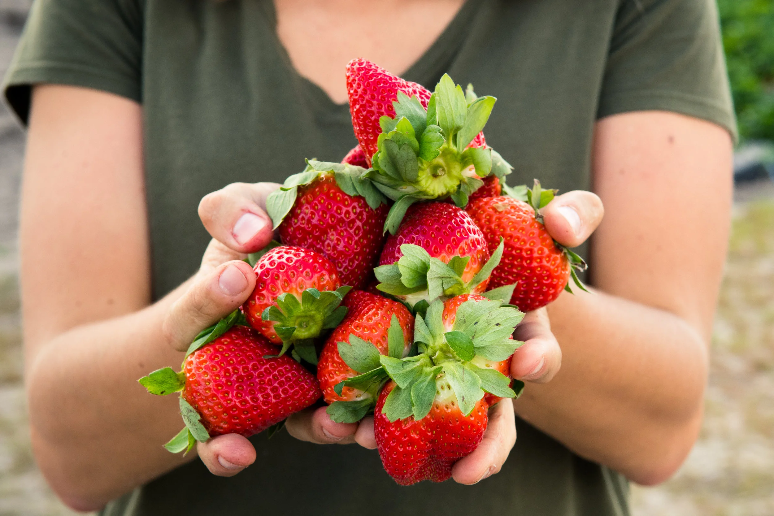 WishFarms-39.jpg