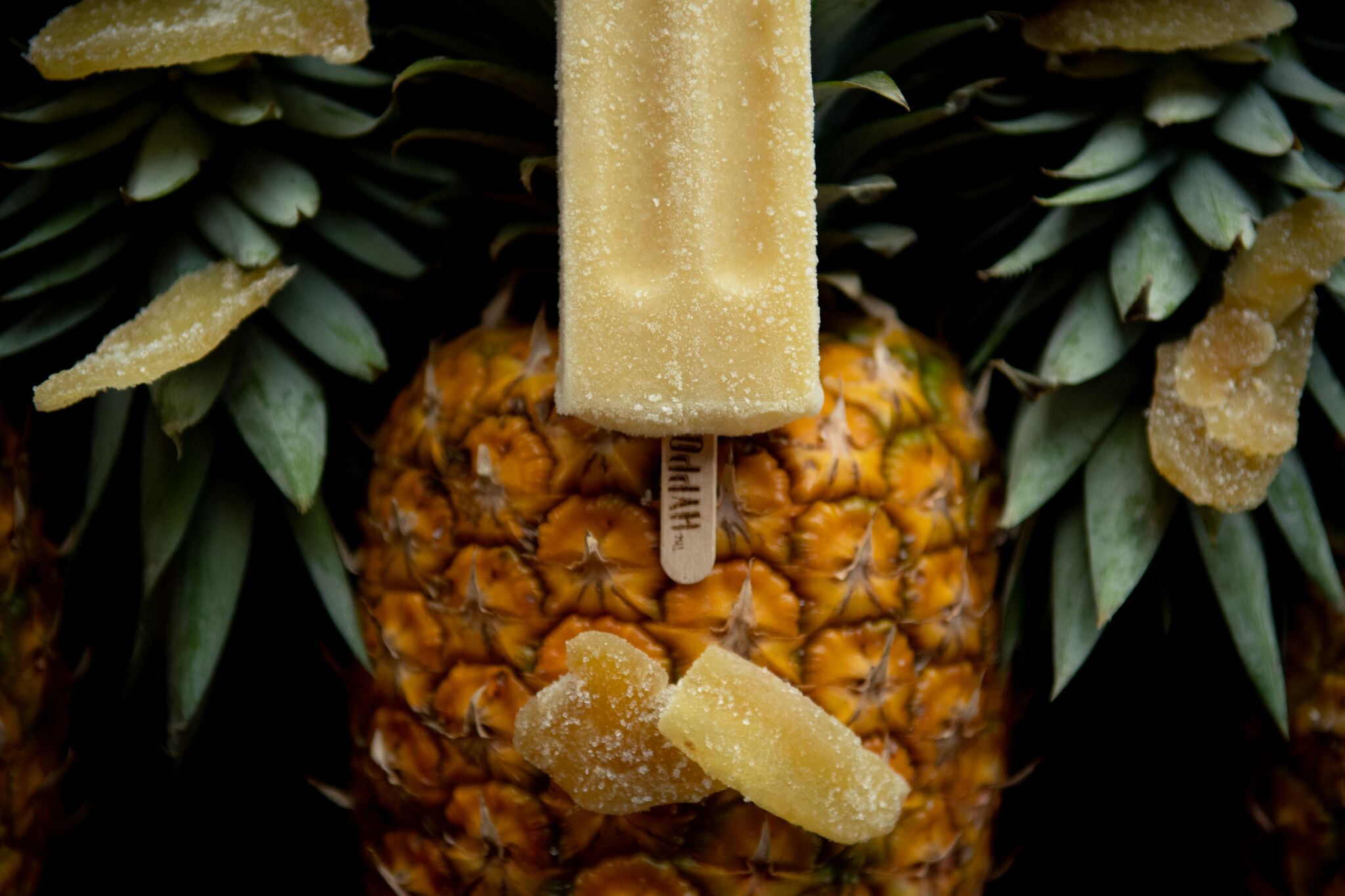 Pineapple Ginger — The Hyppo Gourmet Ice Pops