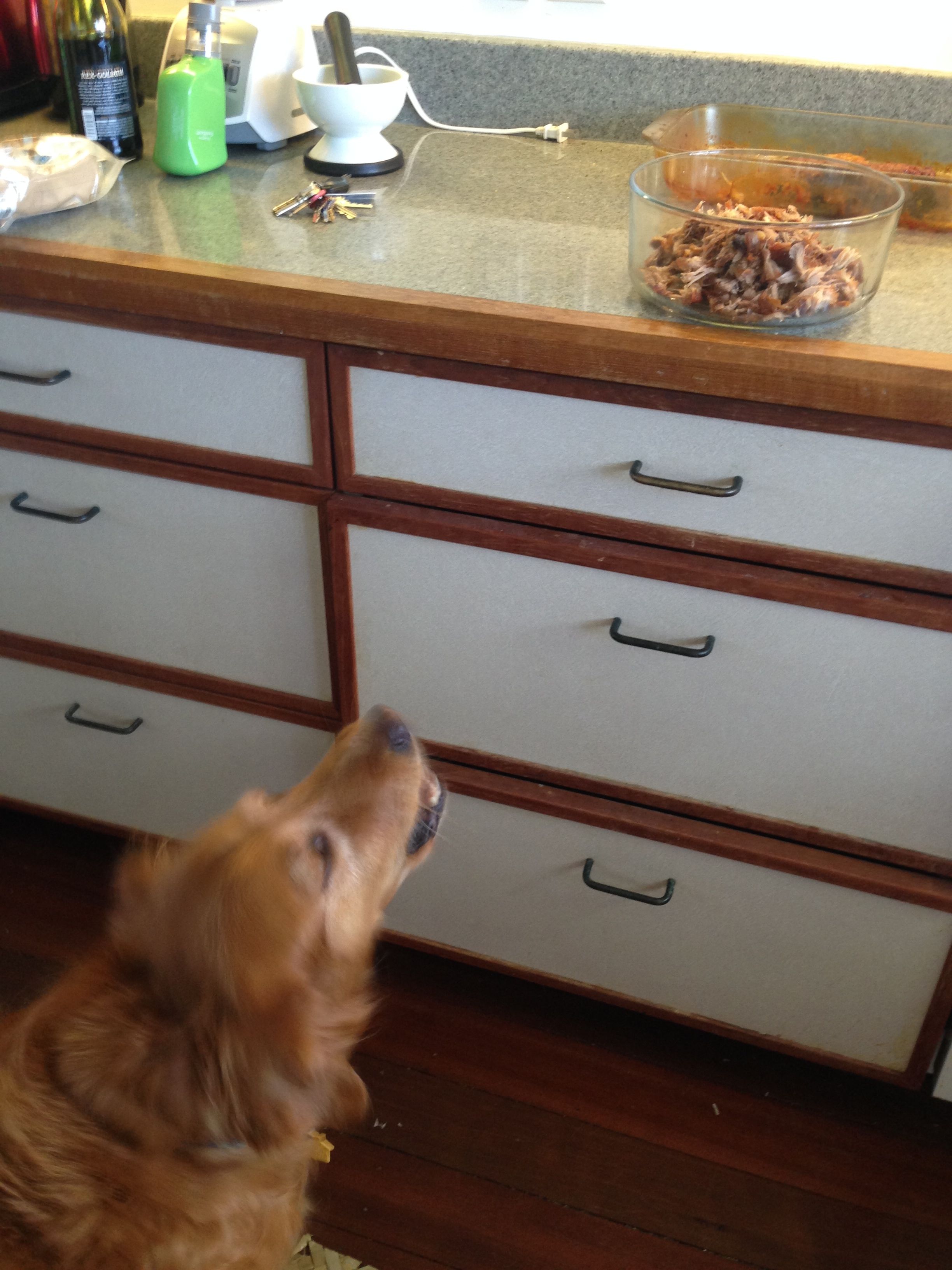 And yes. She barks for her share.