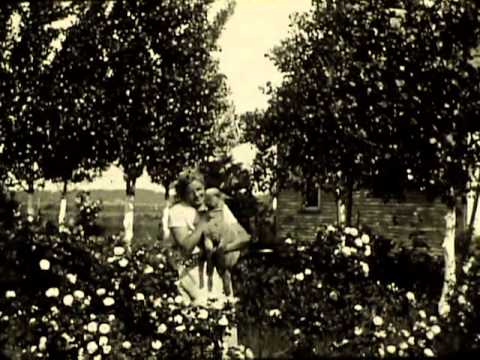HARVEST VIDEO INSTALLATION by Anne Wells