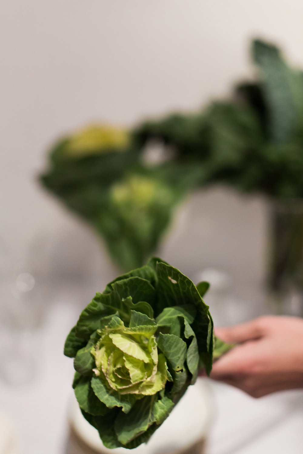 Produce was sourced for the menu and design