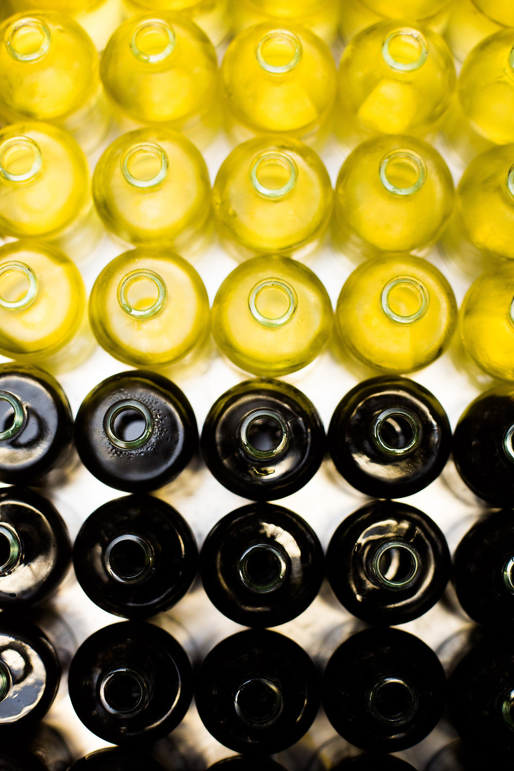 Beverage Director Mae Governale explores the Harvest concept with her drink program