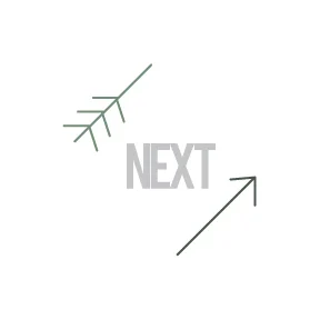 Not All Who Wander Are Lost