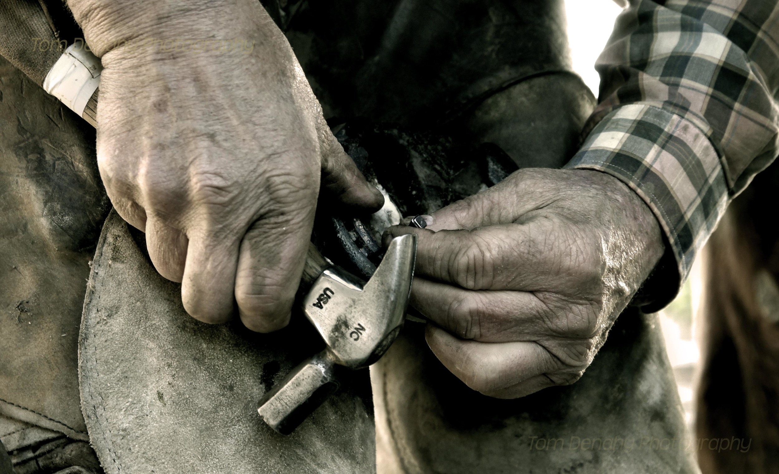 Farriers Hands.jpg