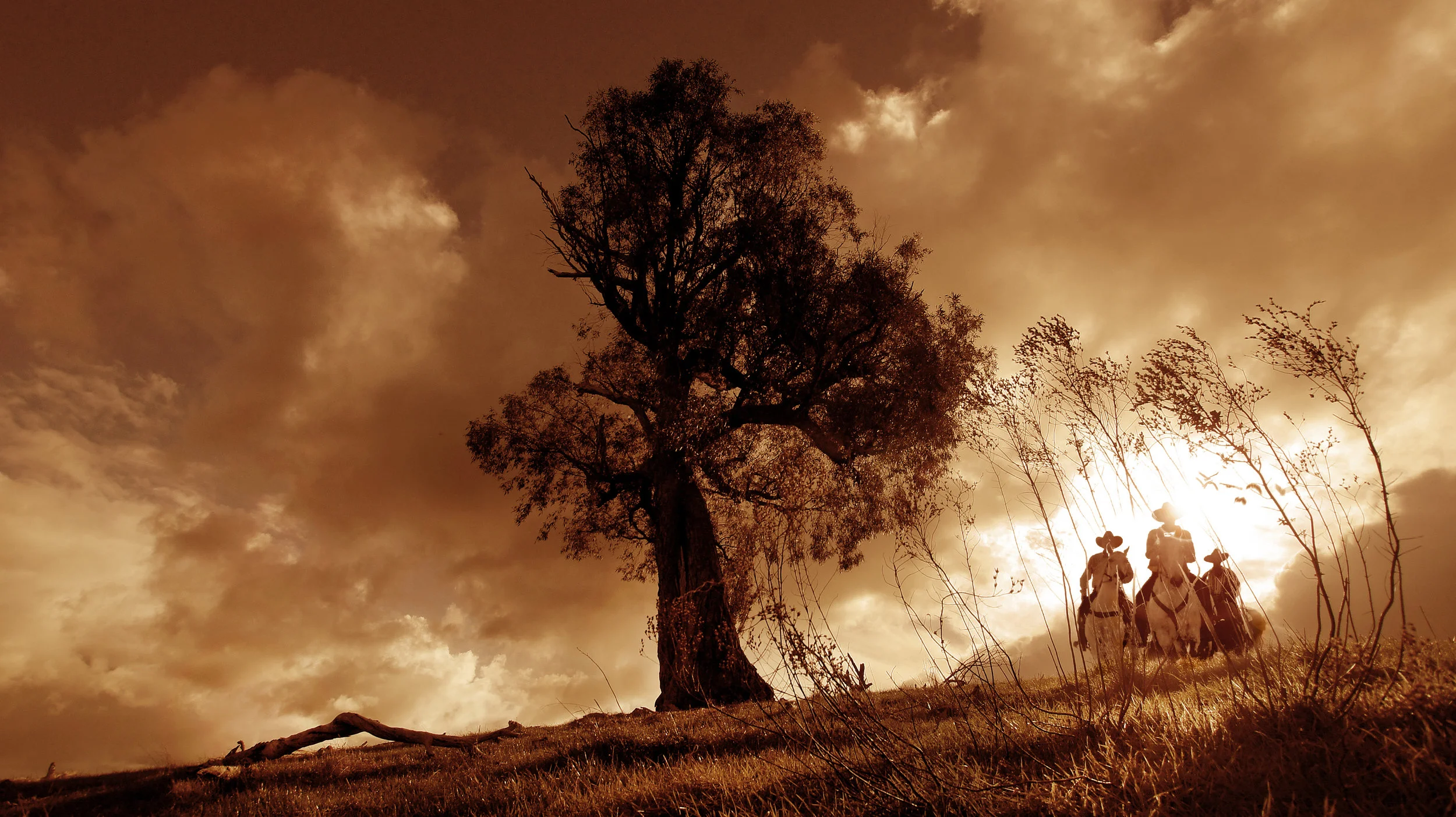 SEPIA_HOREMAN_FINAL.jpg
