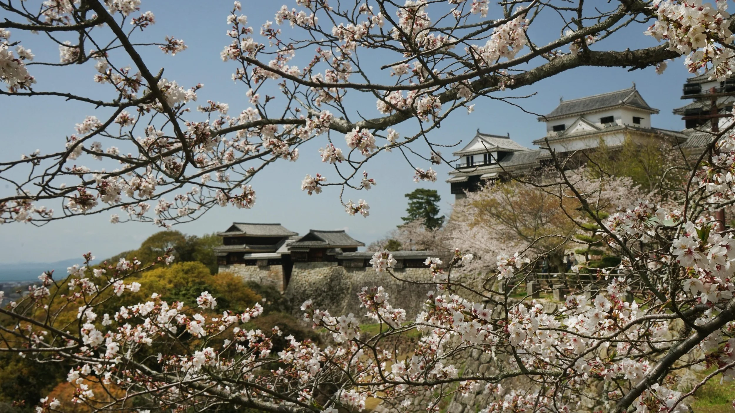 Matsuyama Castle
