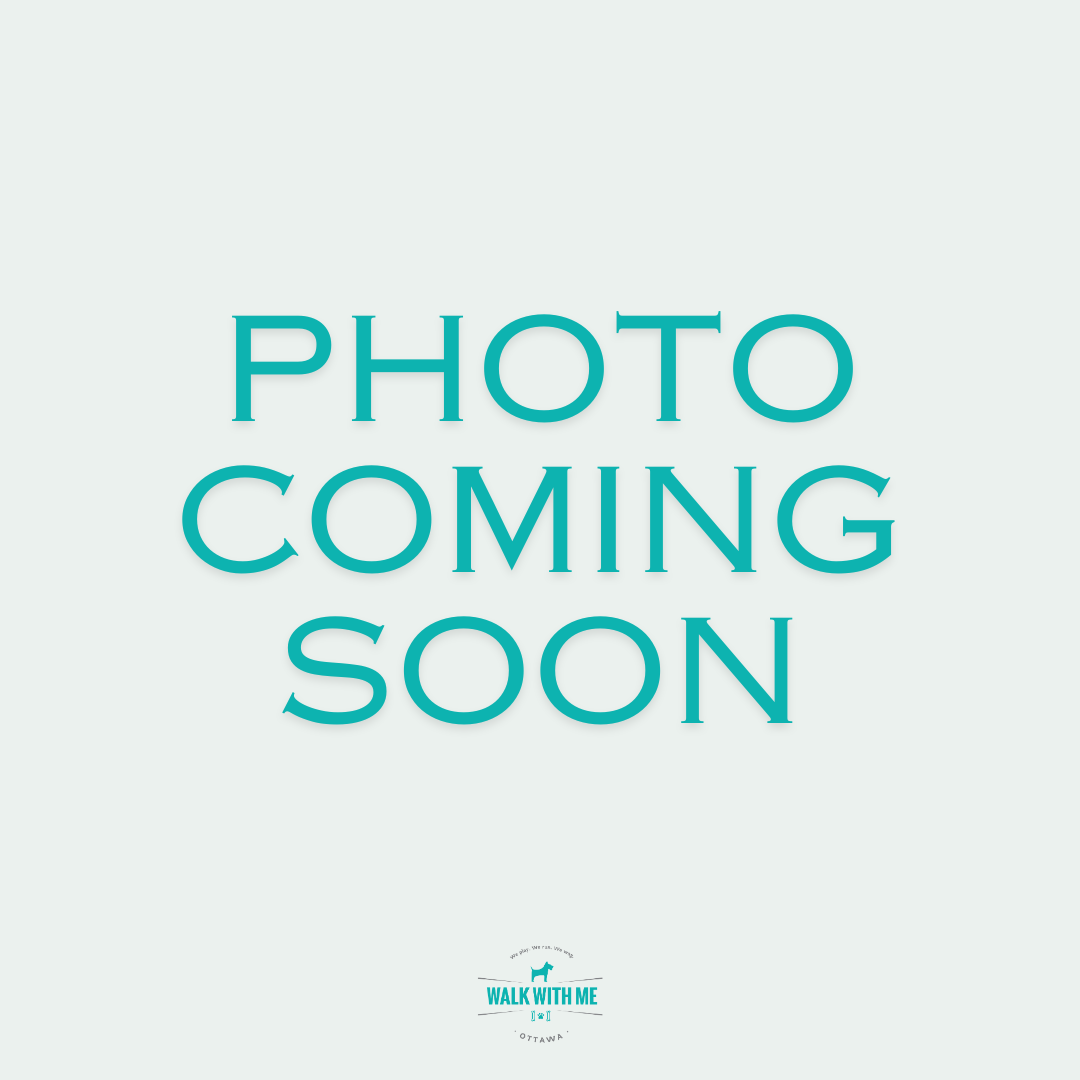 Mallory @walkwithmemallory