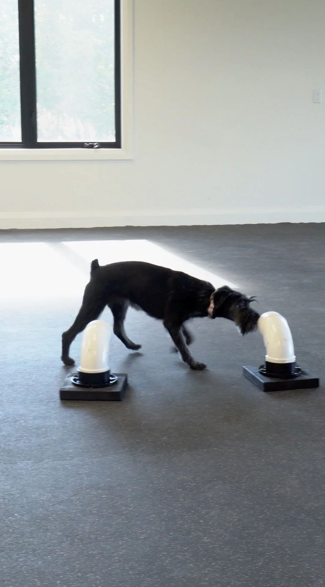 Screenshot 2024-10-07 at 8.33.56 AM.jpeg