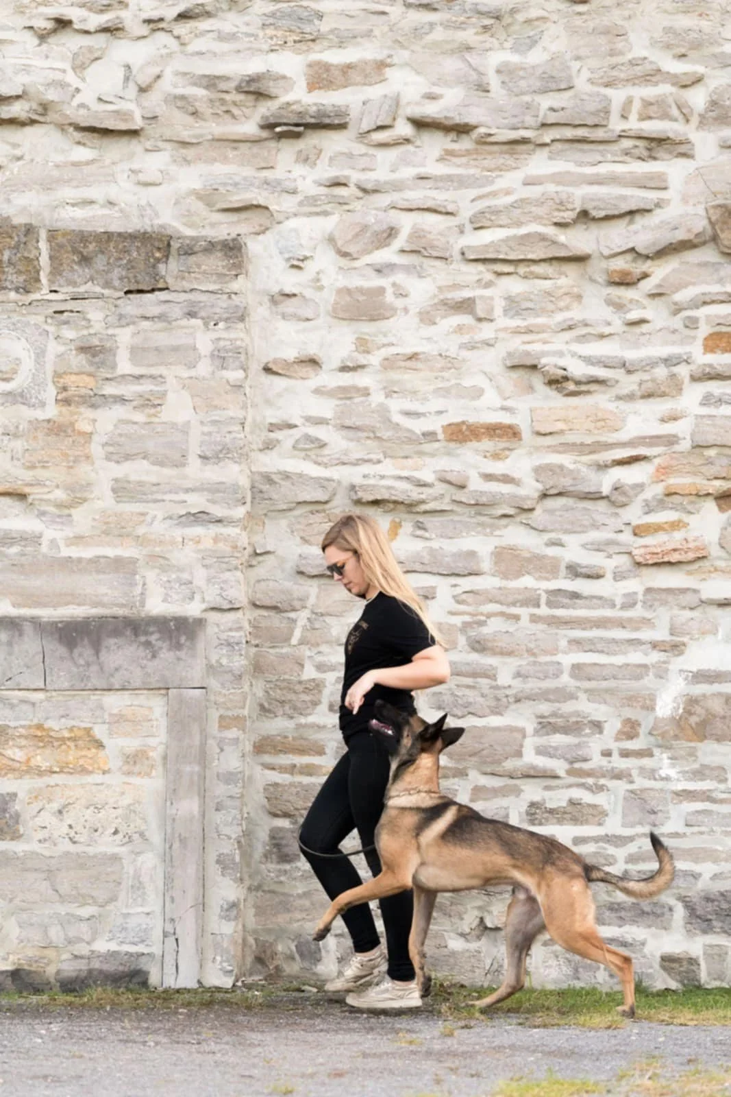 Precision Obedience WAIT LIST