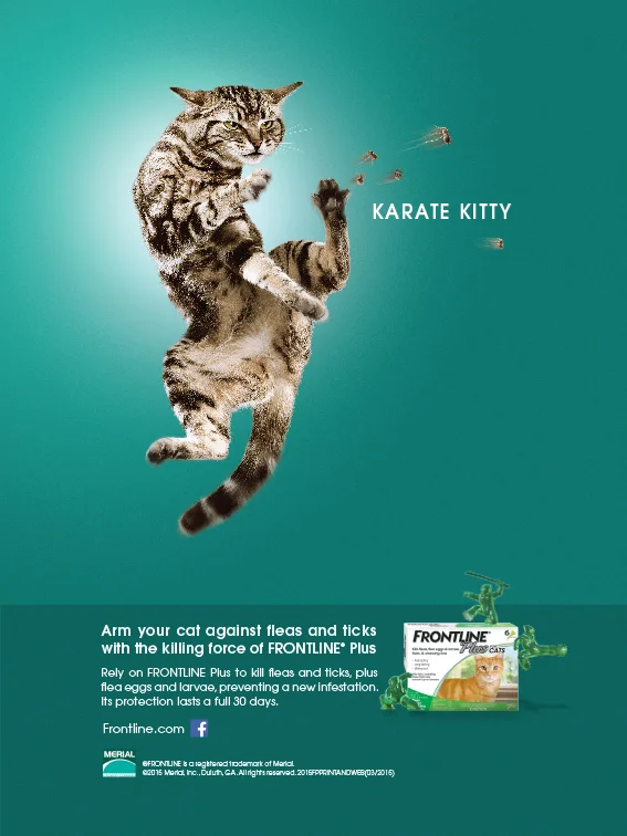Karate Kitty print ad