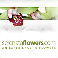 serenata flowers logo.jpg