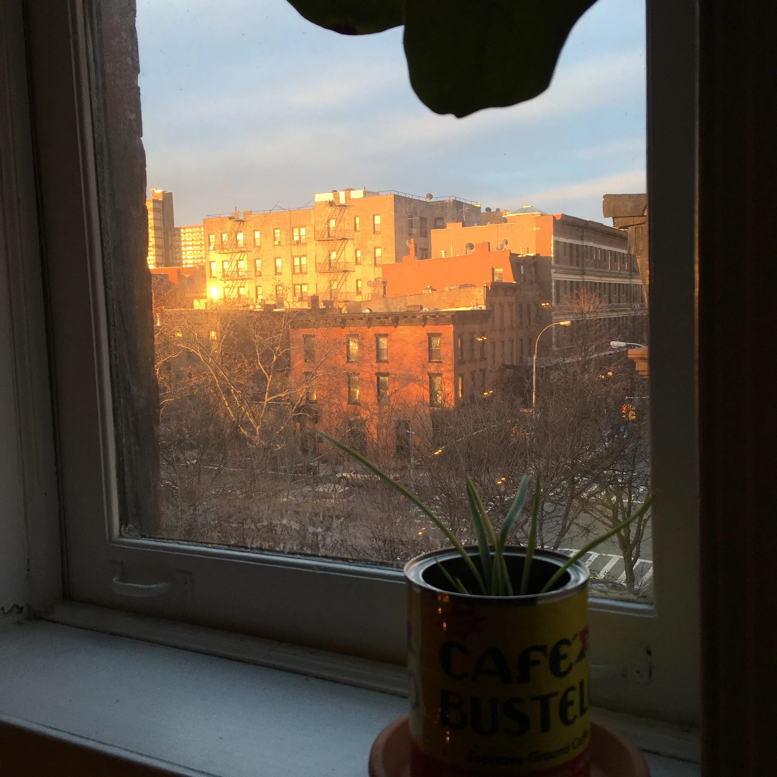 2016-01-02 07.41.29.jpg