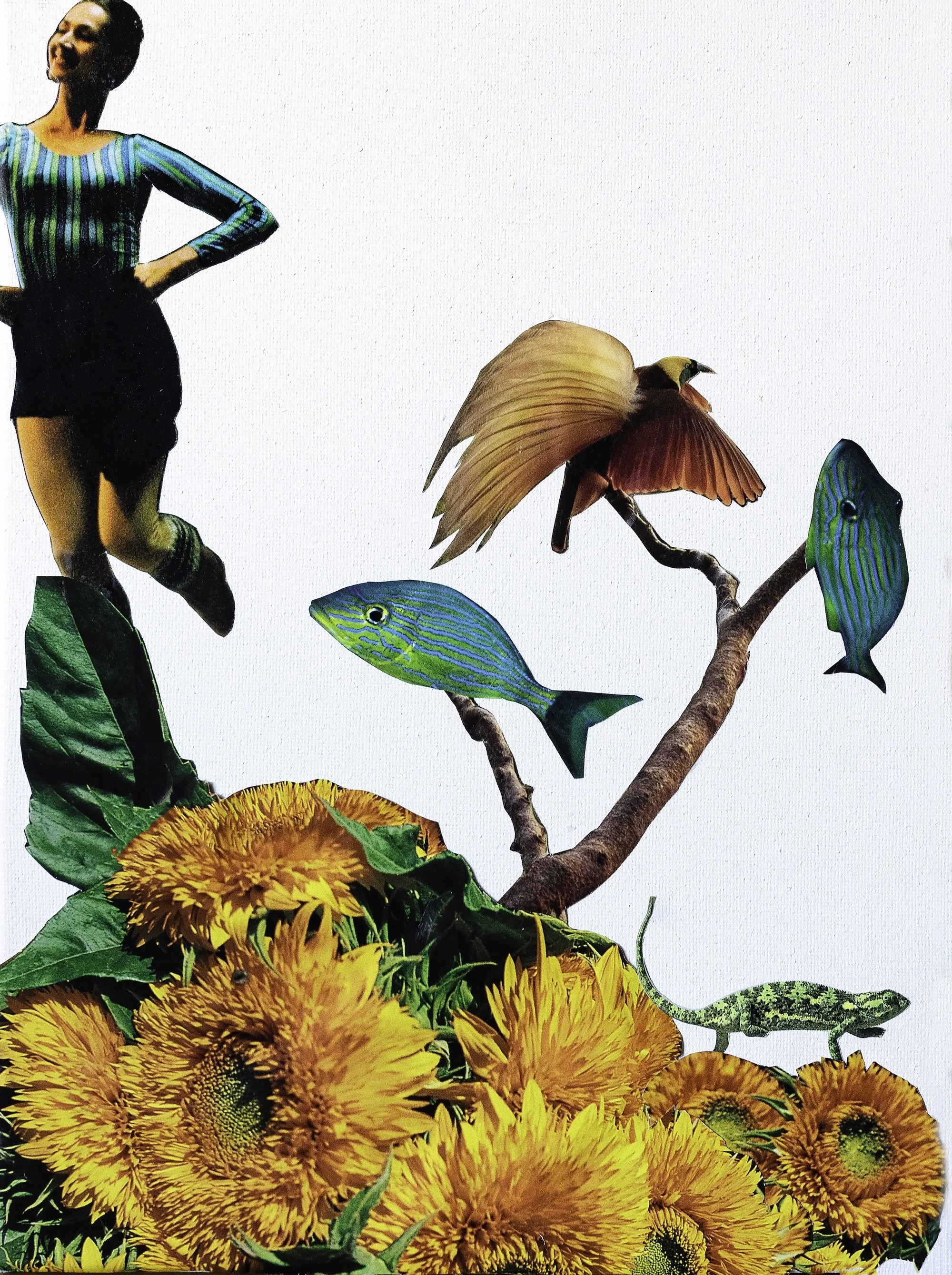 Variation 1 smaller.jpg