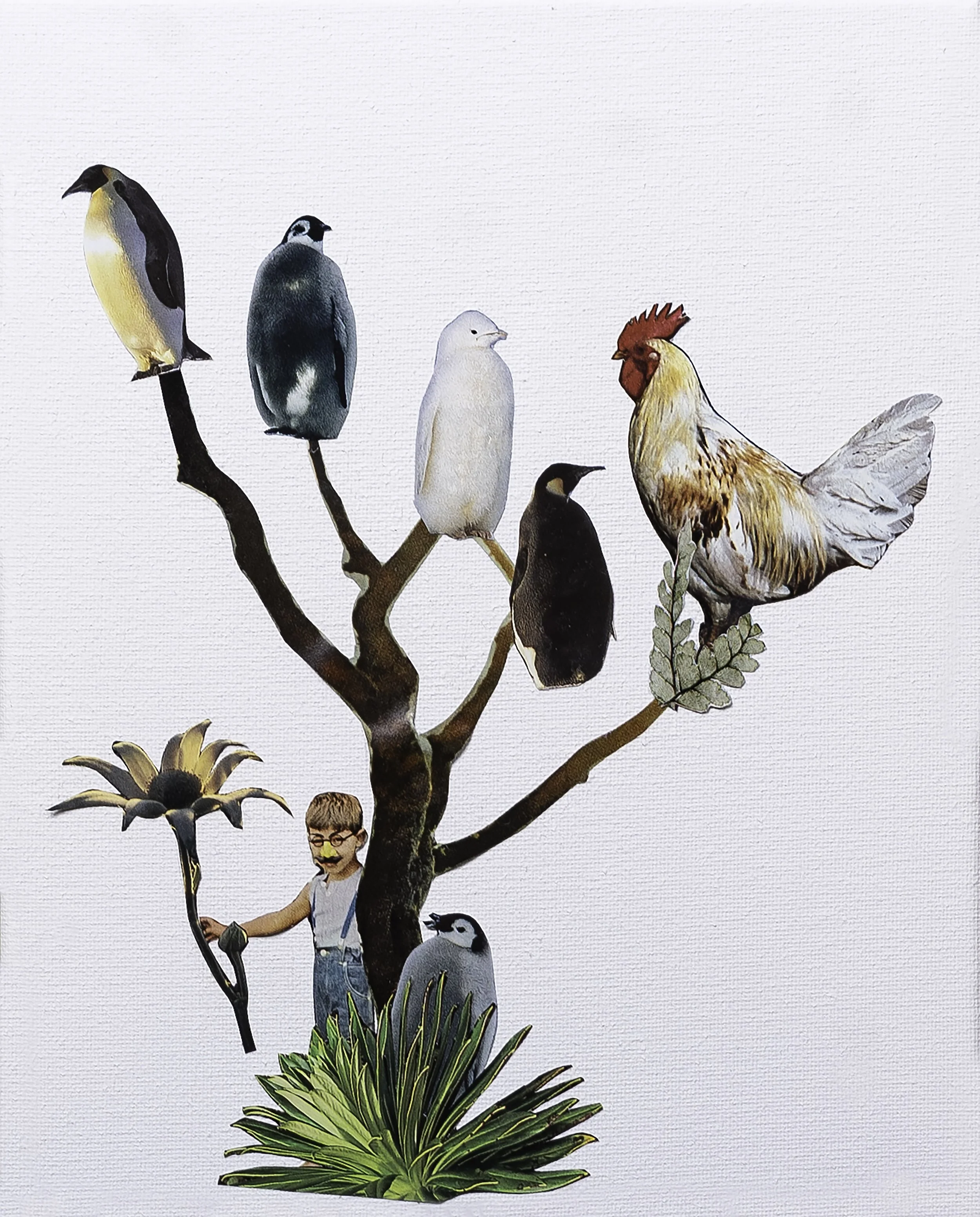 Variation 22 smaller.jpeg