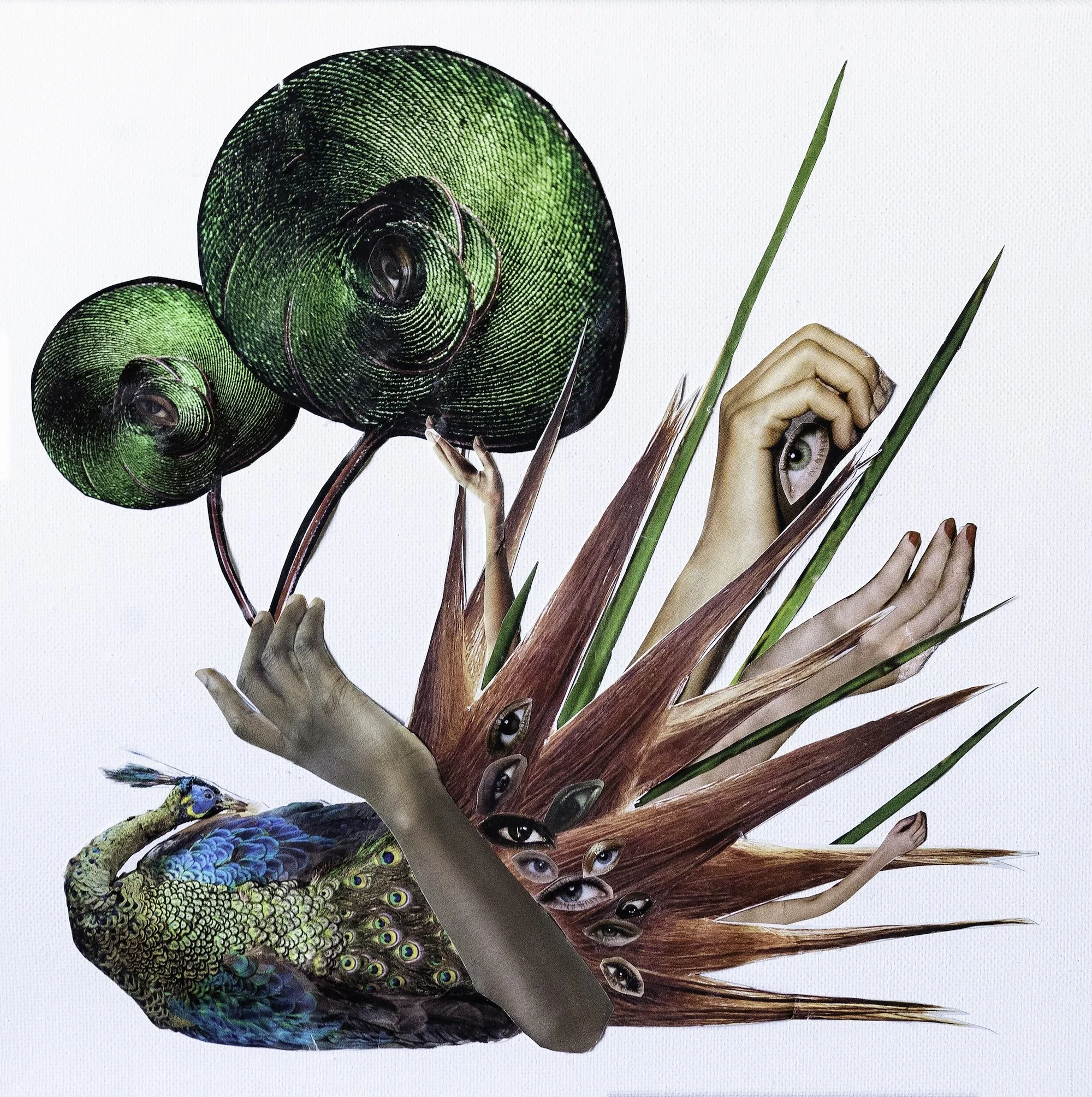 Variation 3 copy.jpg