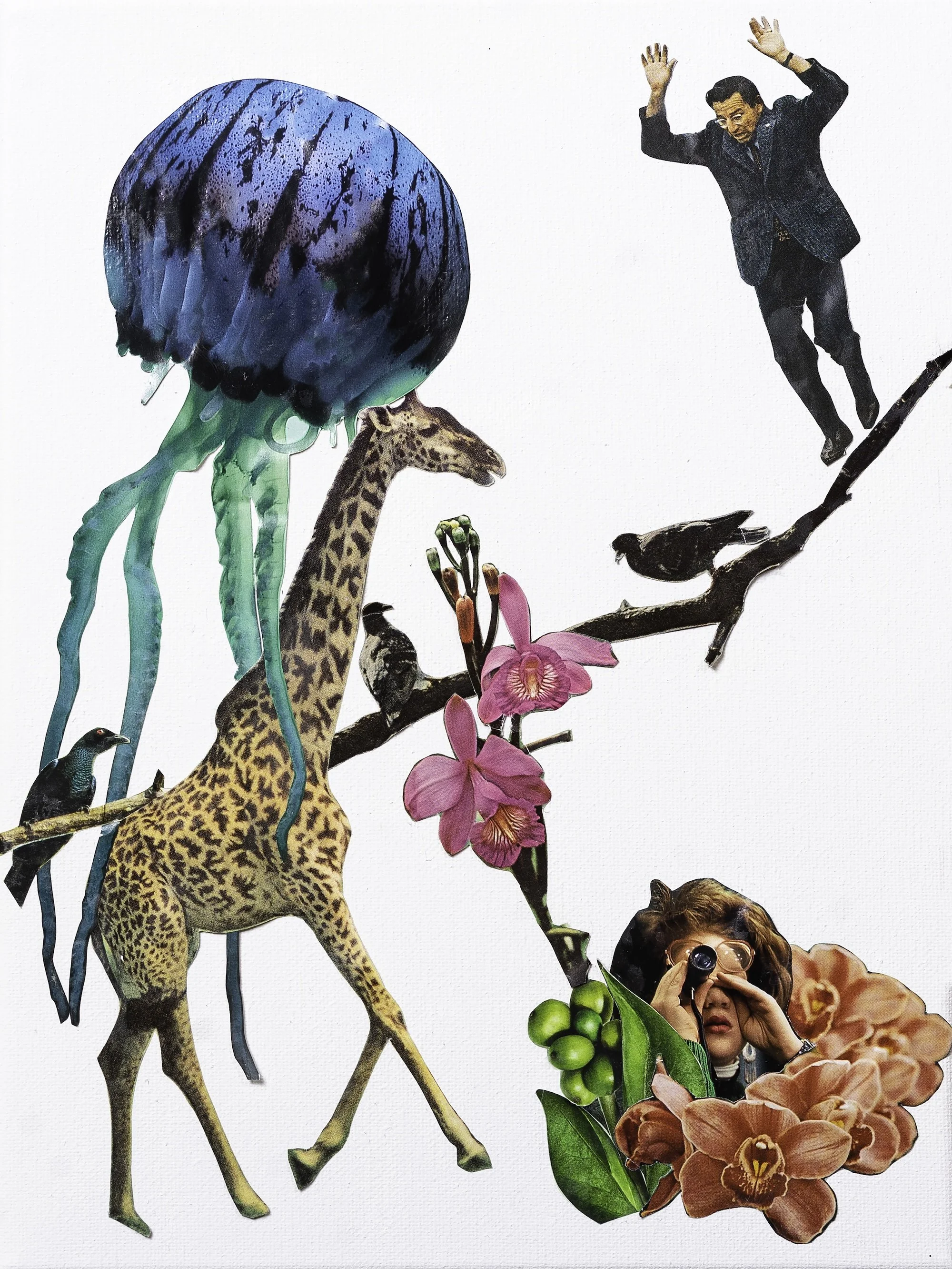 Variation 23 copy.jpg