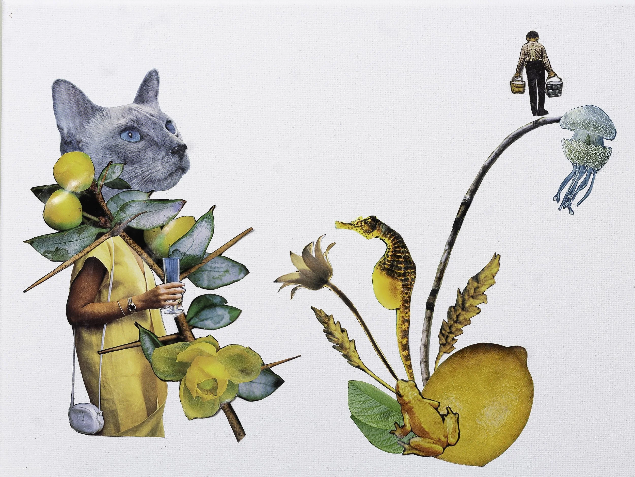 Variation 9 copy.jpg