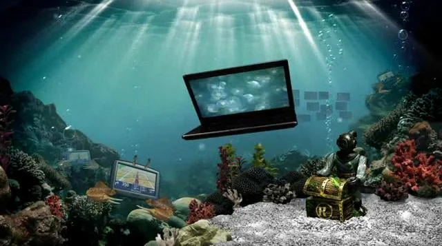 Radioshack, Aquarium, 2009