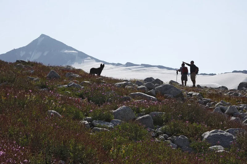 Dickson Range hiking with a guide.jpg