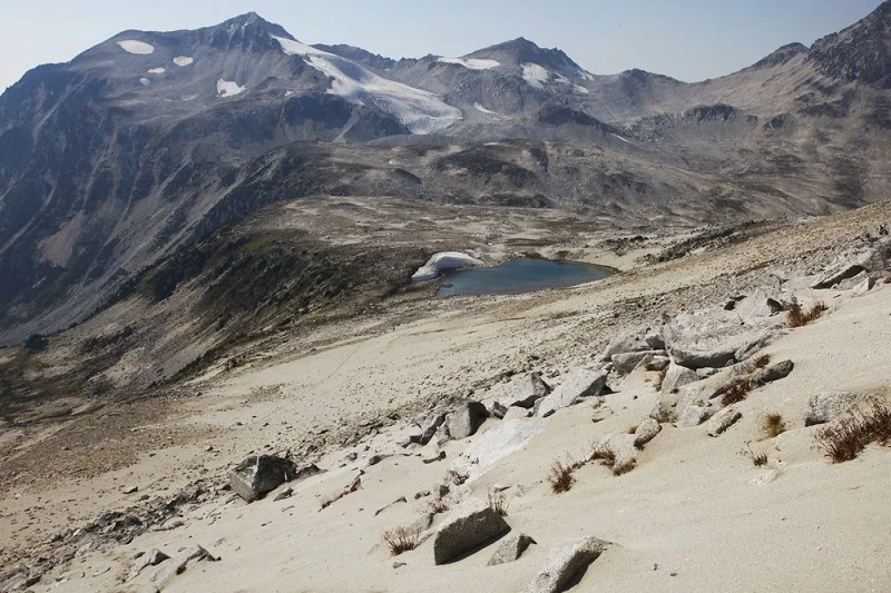 Guided hiking in the Dickson Range.jpg