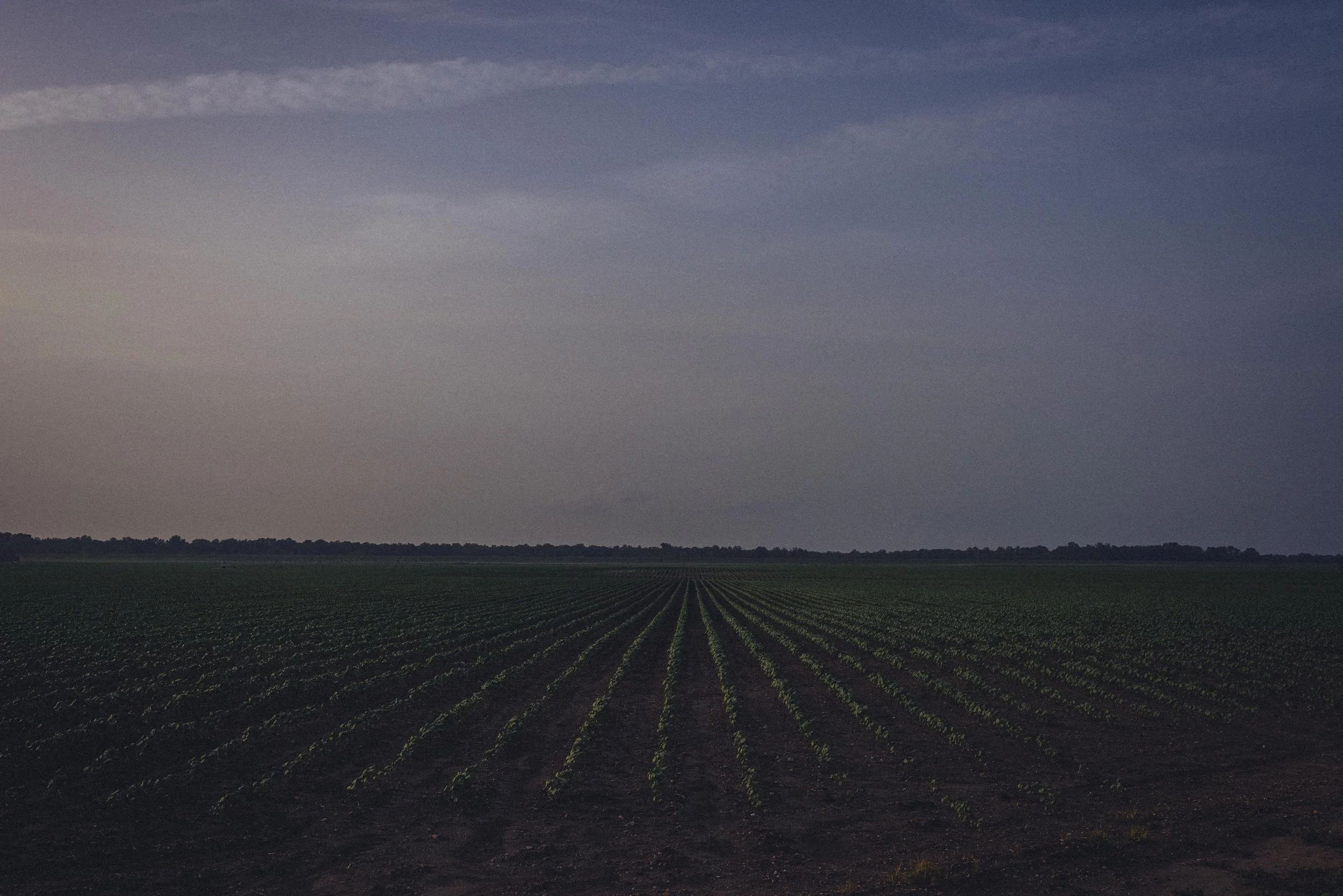 Delta (131 of 149).jpg