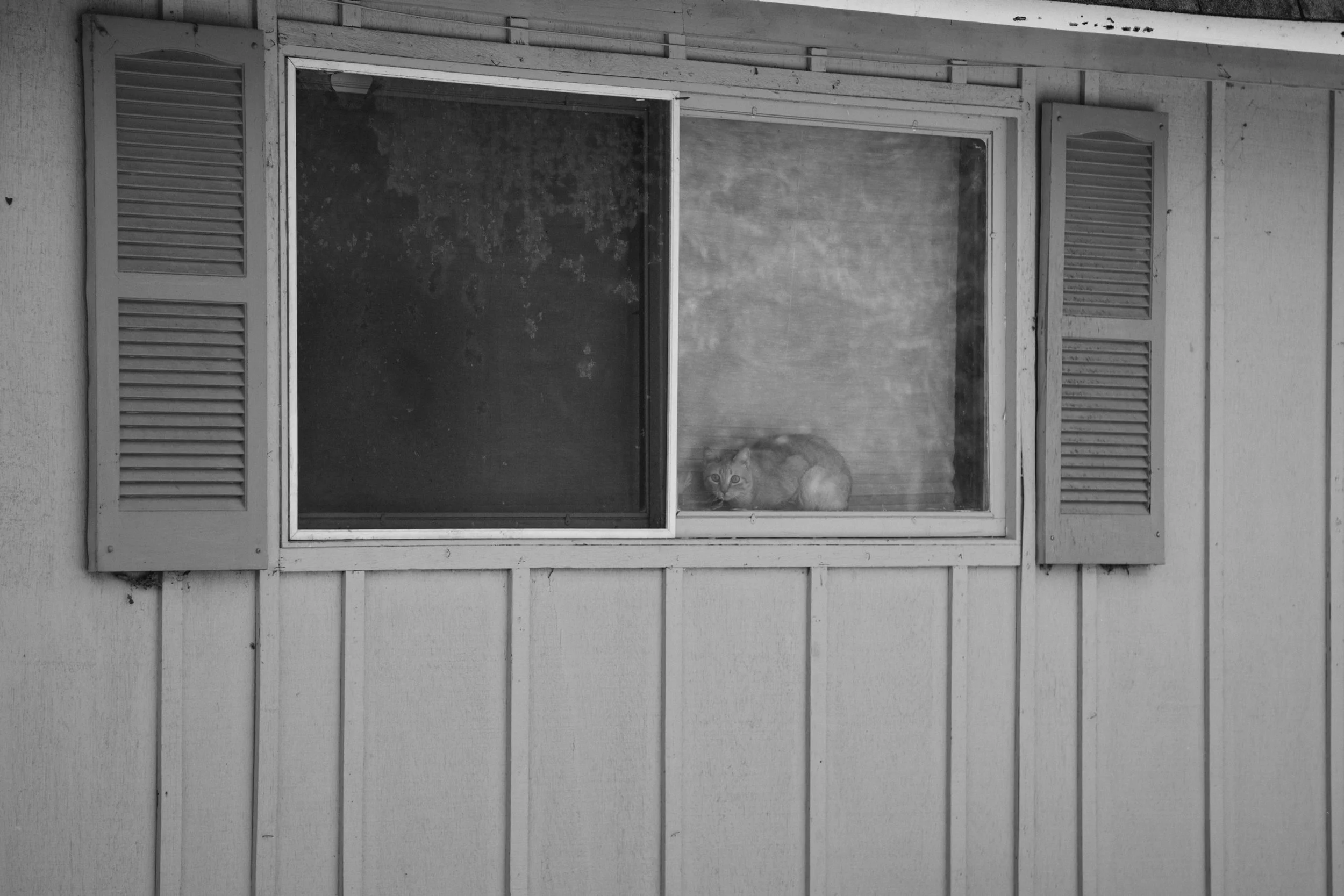 nwidener_image02_after.jpg