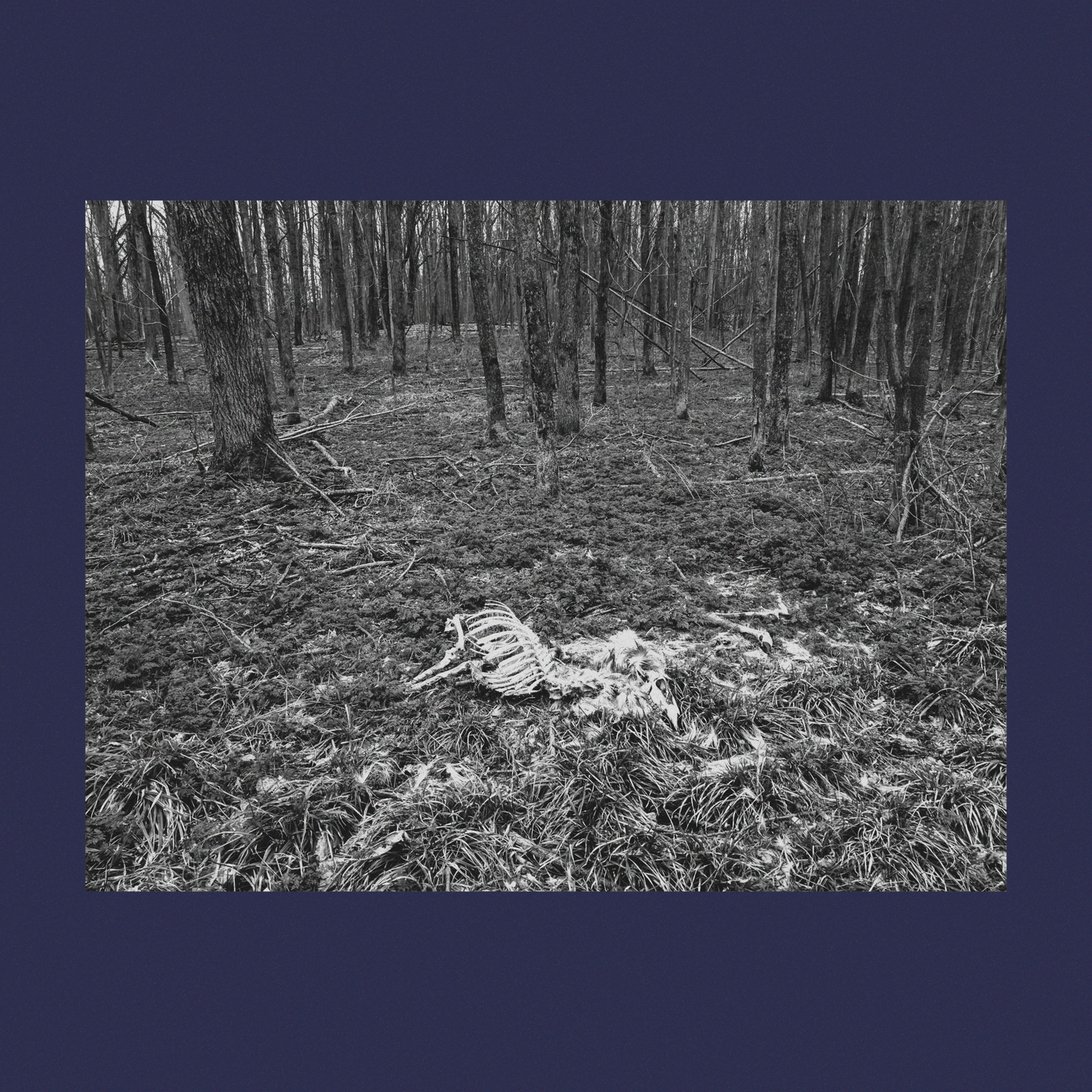 cover.png