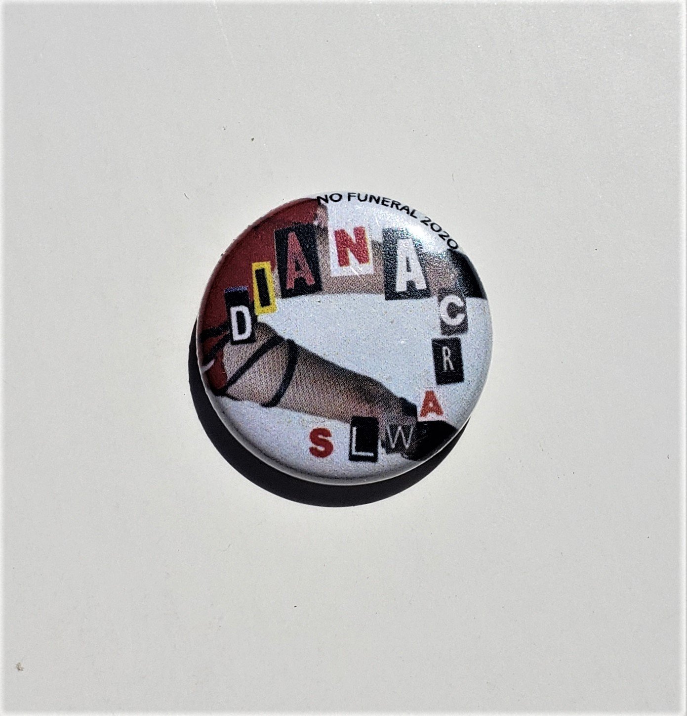 dianacrawls pin.jpg