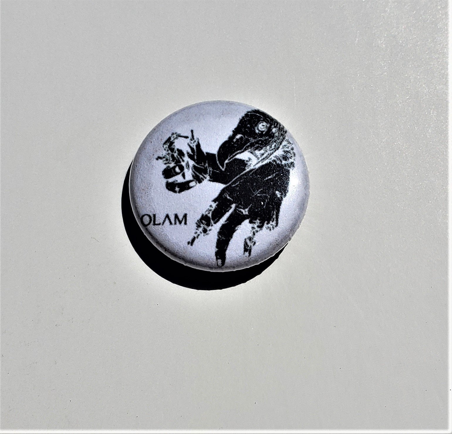 olam birdman.jpg