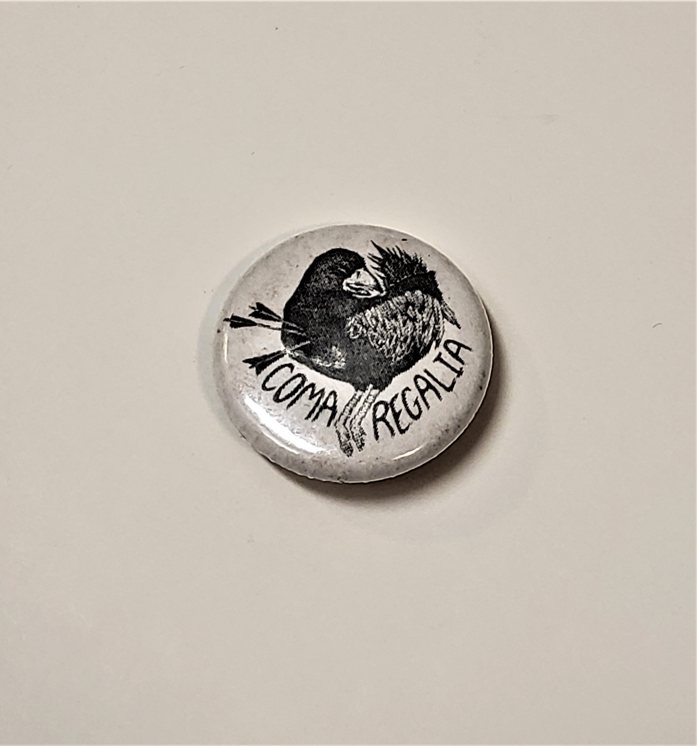 coma bird pin.jpg