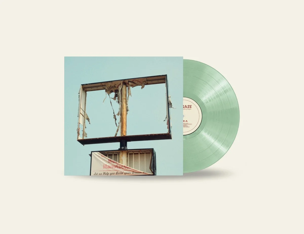 vinyl promo.jpg