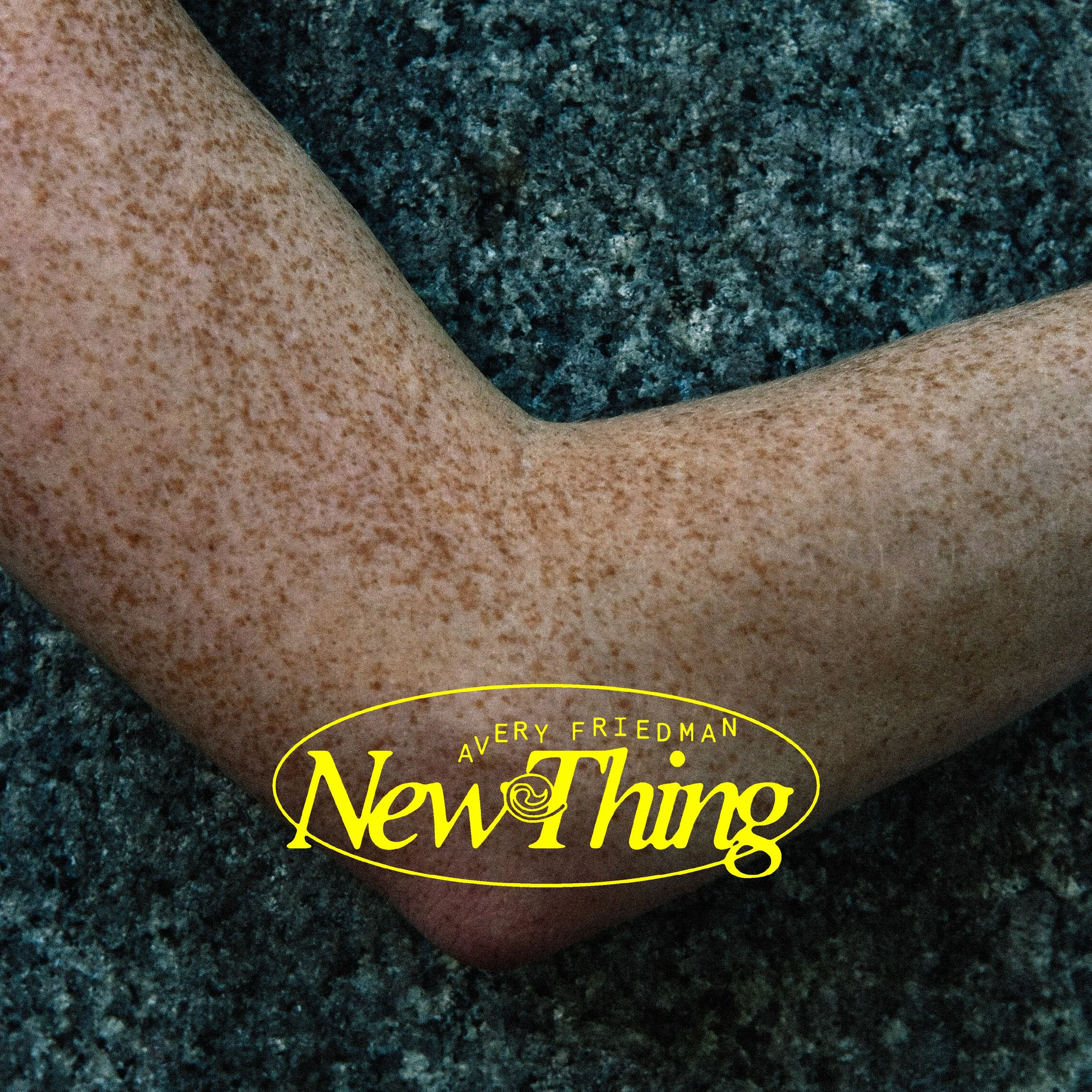 af.newthing.lp.cover.jpg